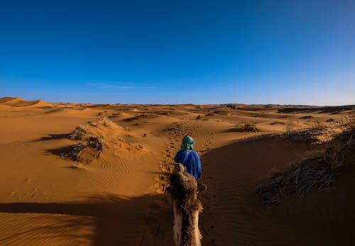 Man Met Blauwe Jas Rijden Kameel Lopen Op Woestijn