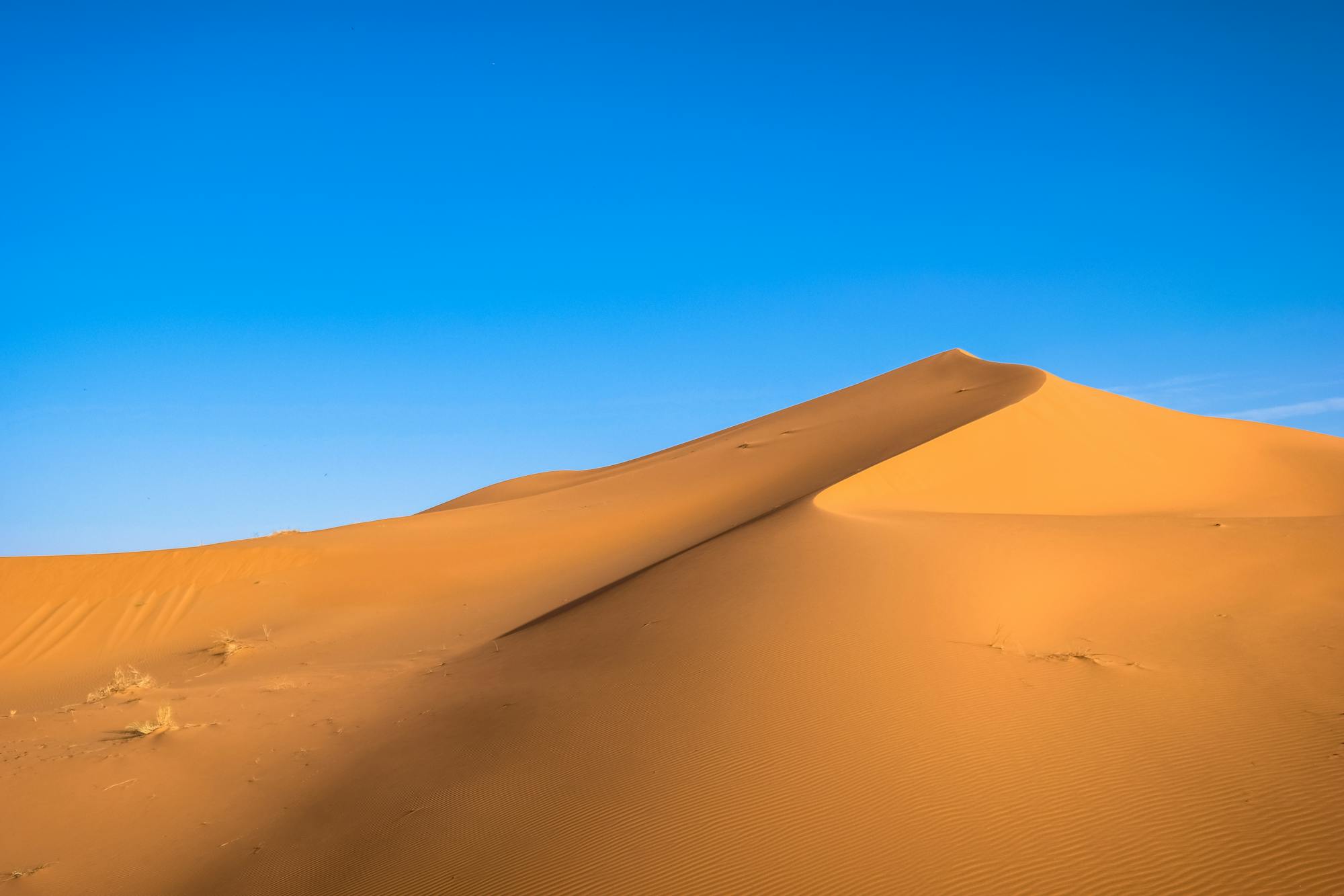 炽热的沙漠