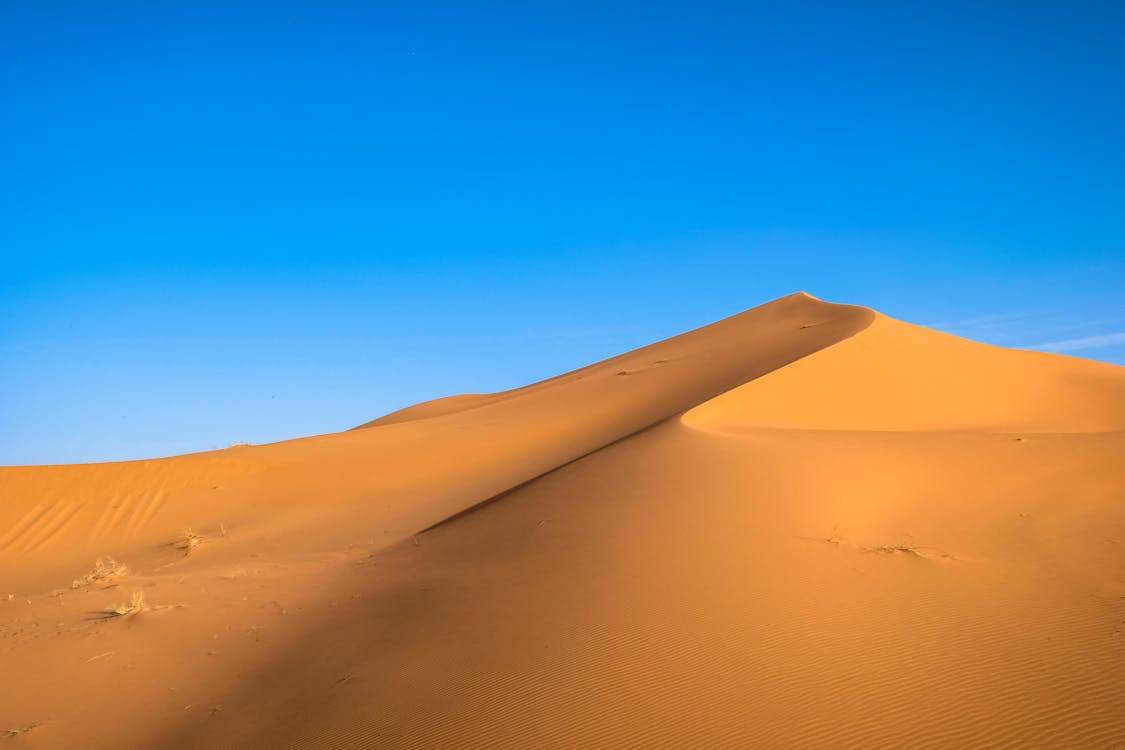 Photo of Brown Sand