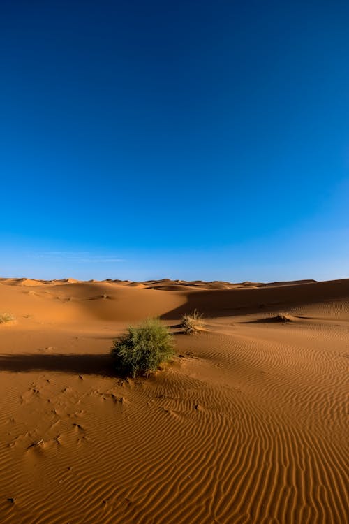 蓝天下的沙丘摄影