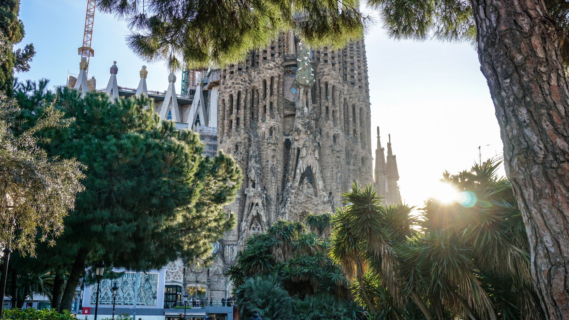 Barcelona Travel Guide: The Ultimate Insider's Companion