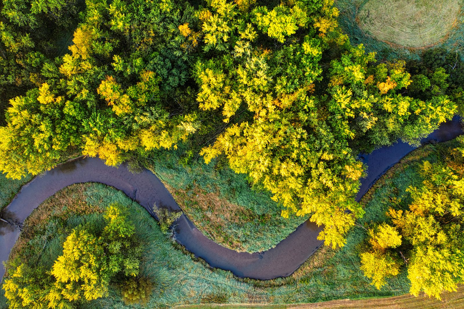 Aerial view of a meandering river through autumn woodland — photo by Tom Fisk on Pexels