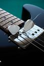 High Gloss Electric Guitar with Two Guitarpicks on Fret Board