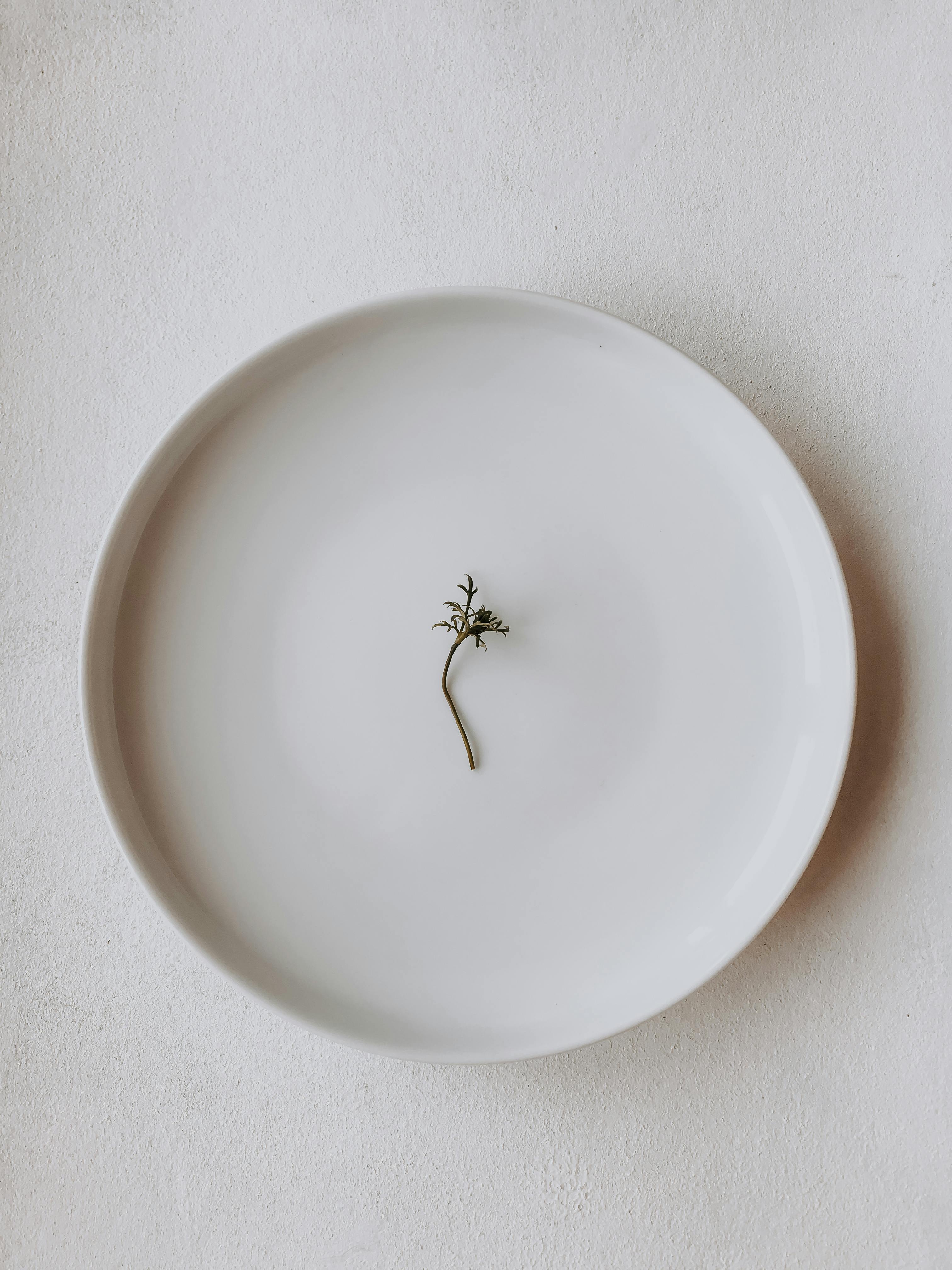 A single herb twig sits elegantly on a minimalist white plate, viewed from above.