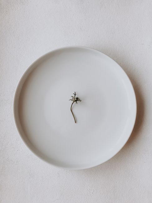 A single herb twig sits elegantly on a minimalist white plate, viewed from above.
