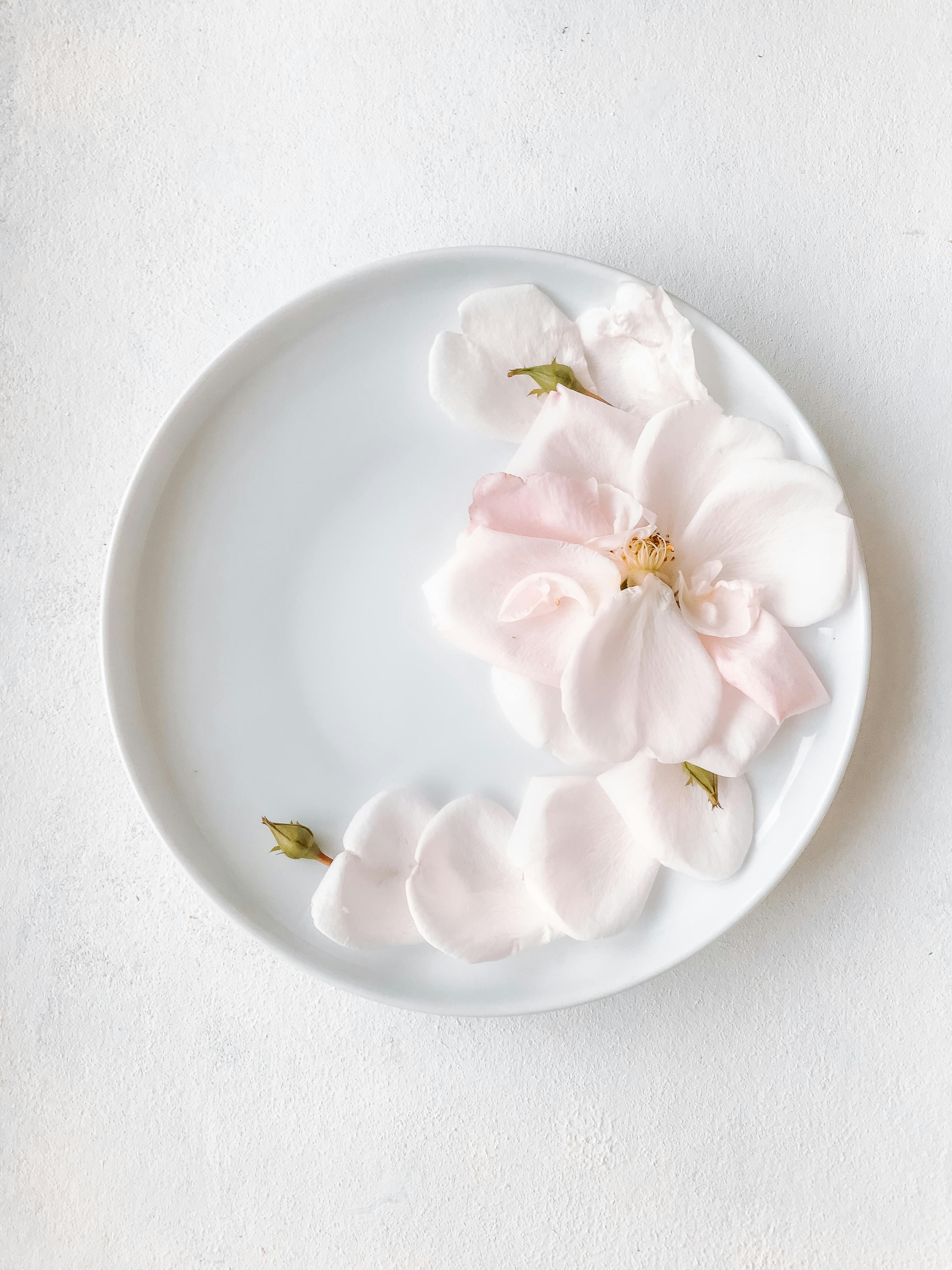 Artistic display of soft pink flower petals arranged on a minimalistic white plate.