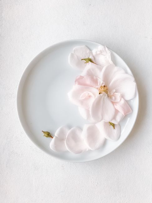 Artistic display of soft pink flower petals arranged on a minimalistic white plate.