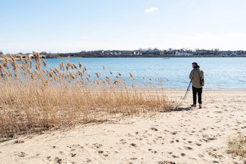 Free stock photo of beach, cold, man