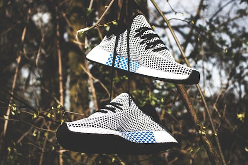 Darmowe zdjęcie z galerii z deerupt, trampki