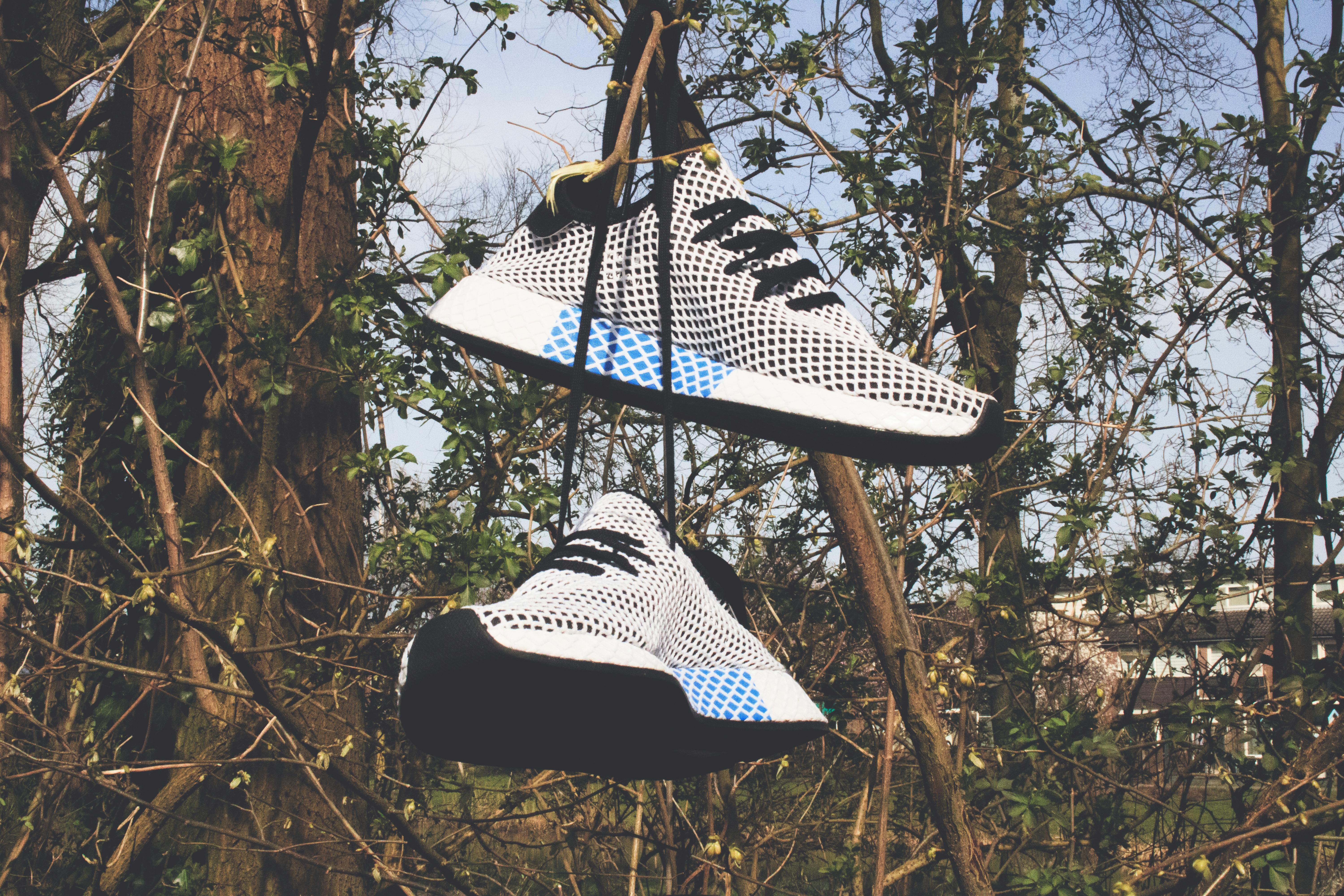 61  Hanging shoes on a tree for Trend in 2022