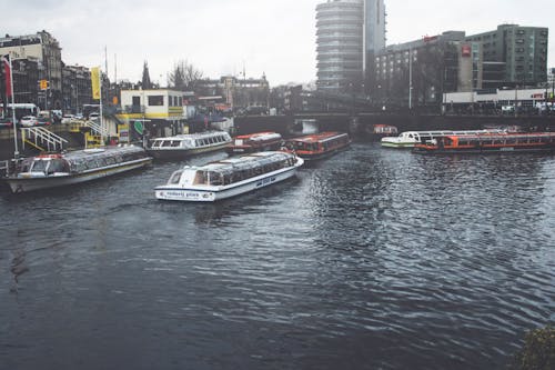 Základová fotografie zdarma na téma Amsterdam, budova, město