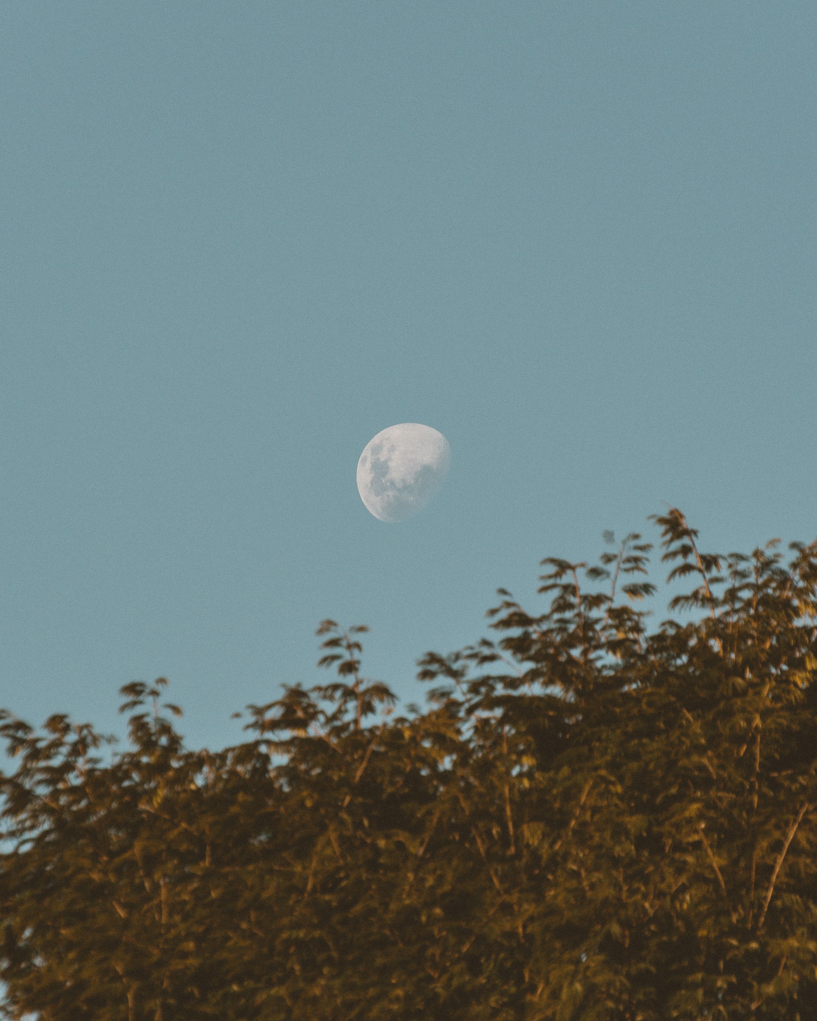 Moon on a Blue Sky · Free Stock Photo