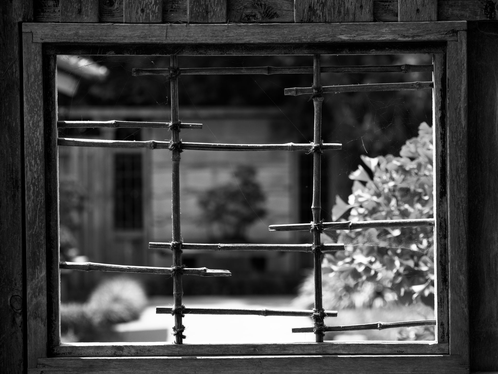 Artistic frame of rustic wooden window with bars overlooking garden.
