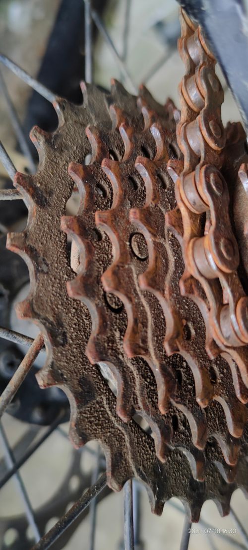 Free stock photo of cycle gear Stock Photo