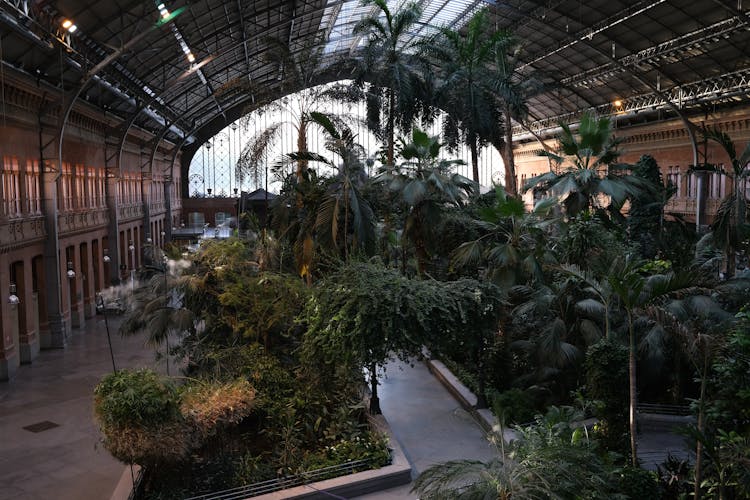 Tropical Trees Under A Roof Supported by Brick Walls 