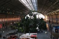 Tropical Garden inside Railroad Station