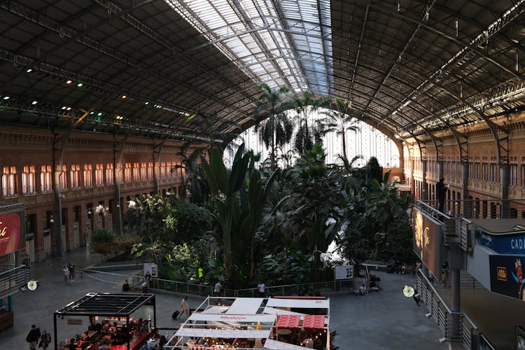 Tropical Garden Inside Railroad Station