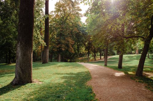 Free A sunny park pathway surrounded by lush green trees, perfect for a peaceful walk. Stock Photo