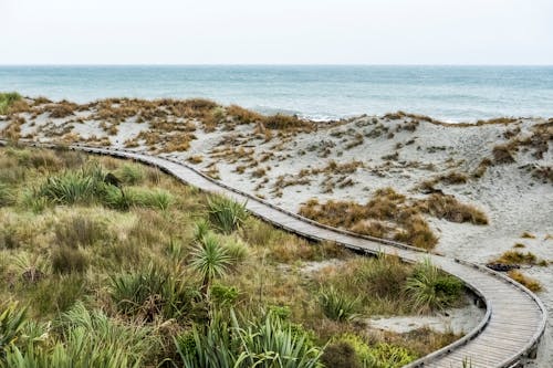 Free Explore a tranquil boardwalk by the beach amid sand dunes in New Zealand's serene landscape. Stock Photo