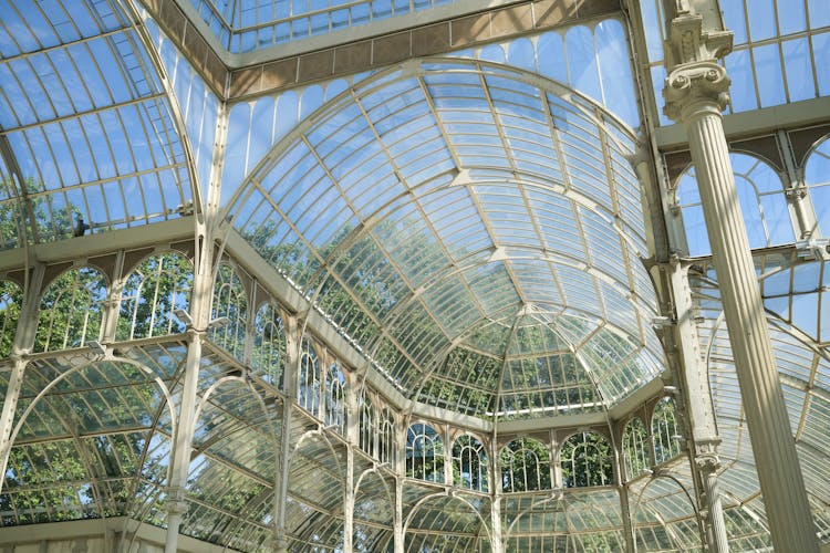 Glass Roof Of Conservatory