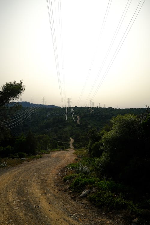 Kostenloses Stock Foto zu bedeckt, der weg nach vorn, draußen