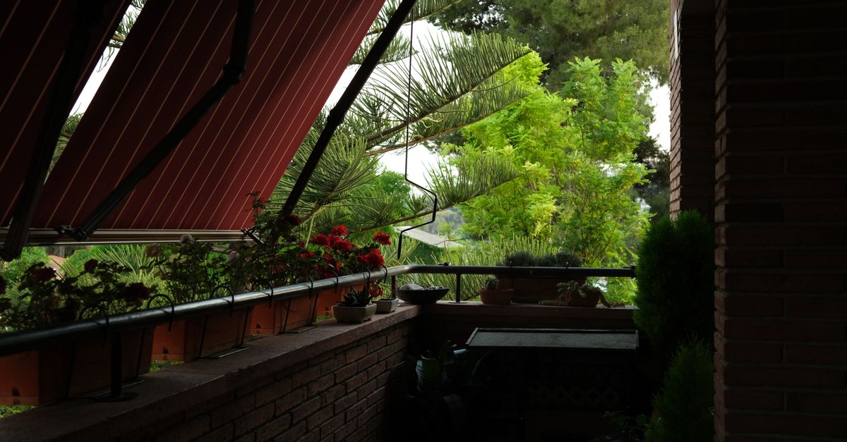 Cómo Crear un Jardín Vertical en Espacios Reducidos
