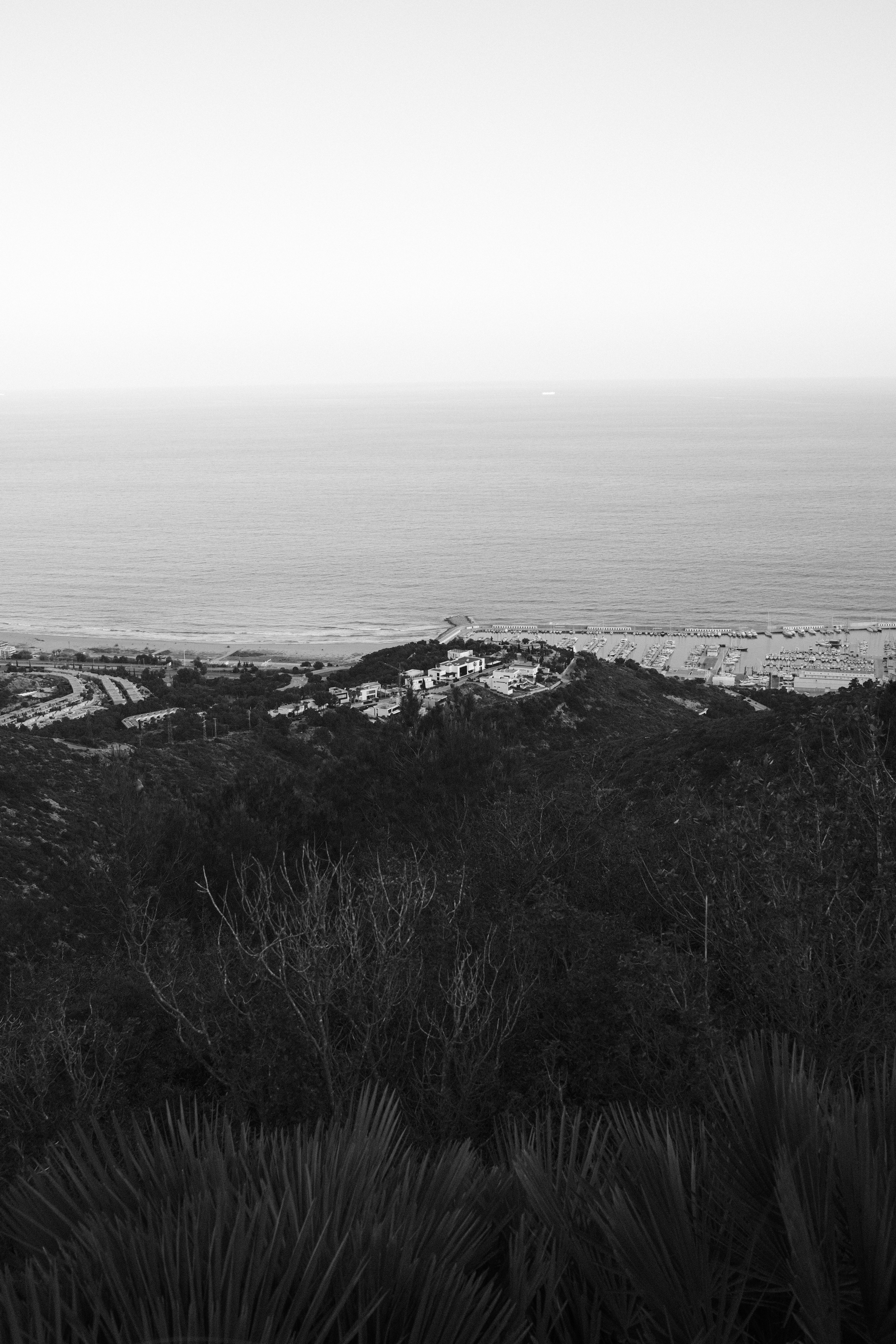 Black and White Landscape of Coastline · Free Stock Photo