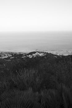 A serene black and white aerial view of a coastline with calm sea and lush landscape.