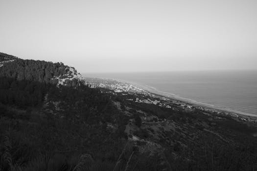 A stunning aerial view capturing a coastal landscape in black and white.