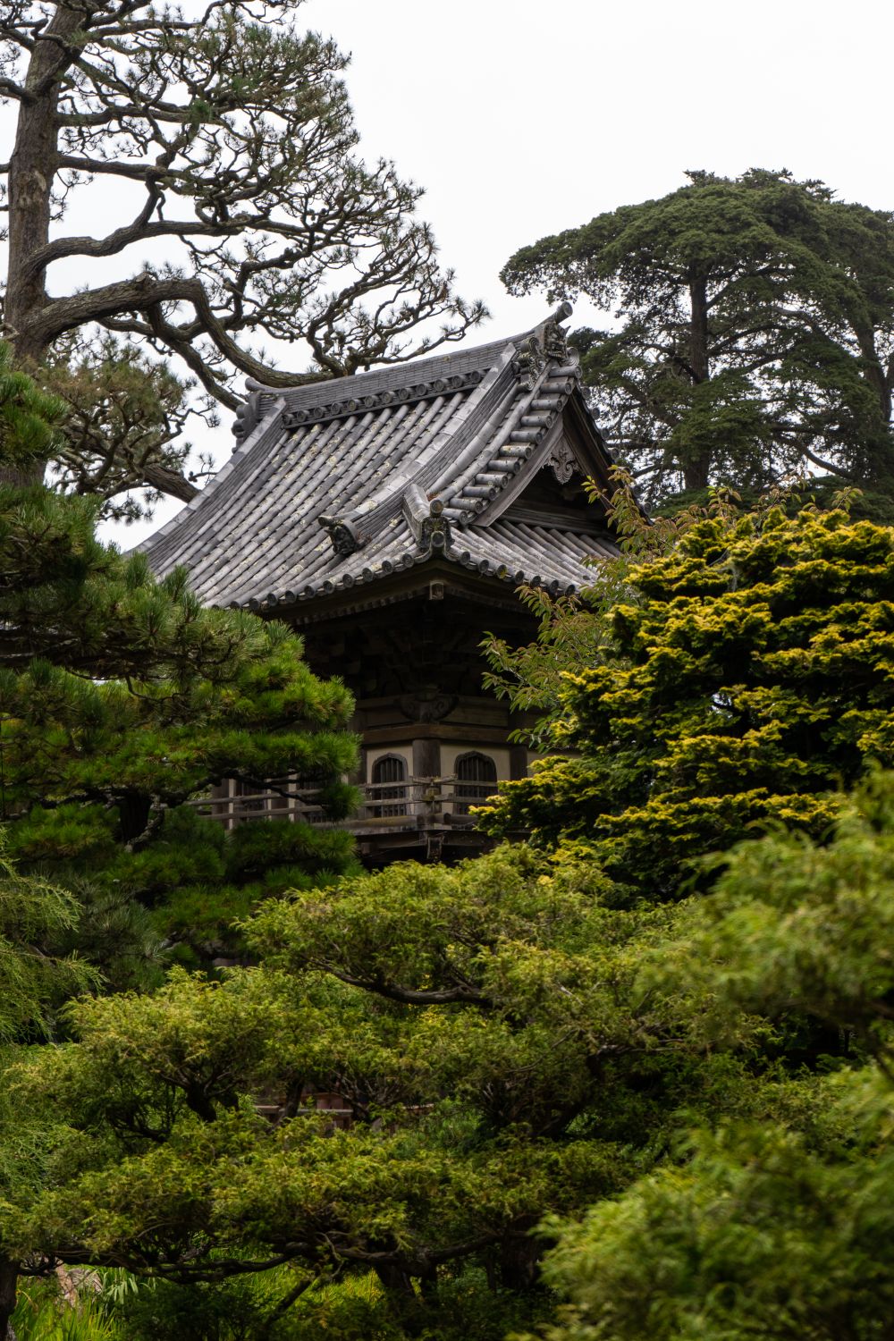 Japan Tree Building Traditional Japanese Building Surrounded with Trees · Free Stock Photo