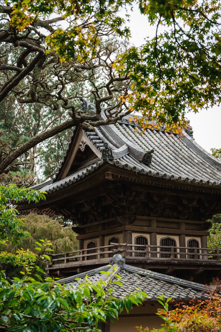 Asian Style Building Behind Trees