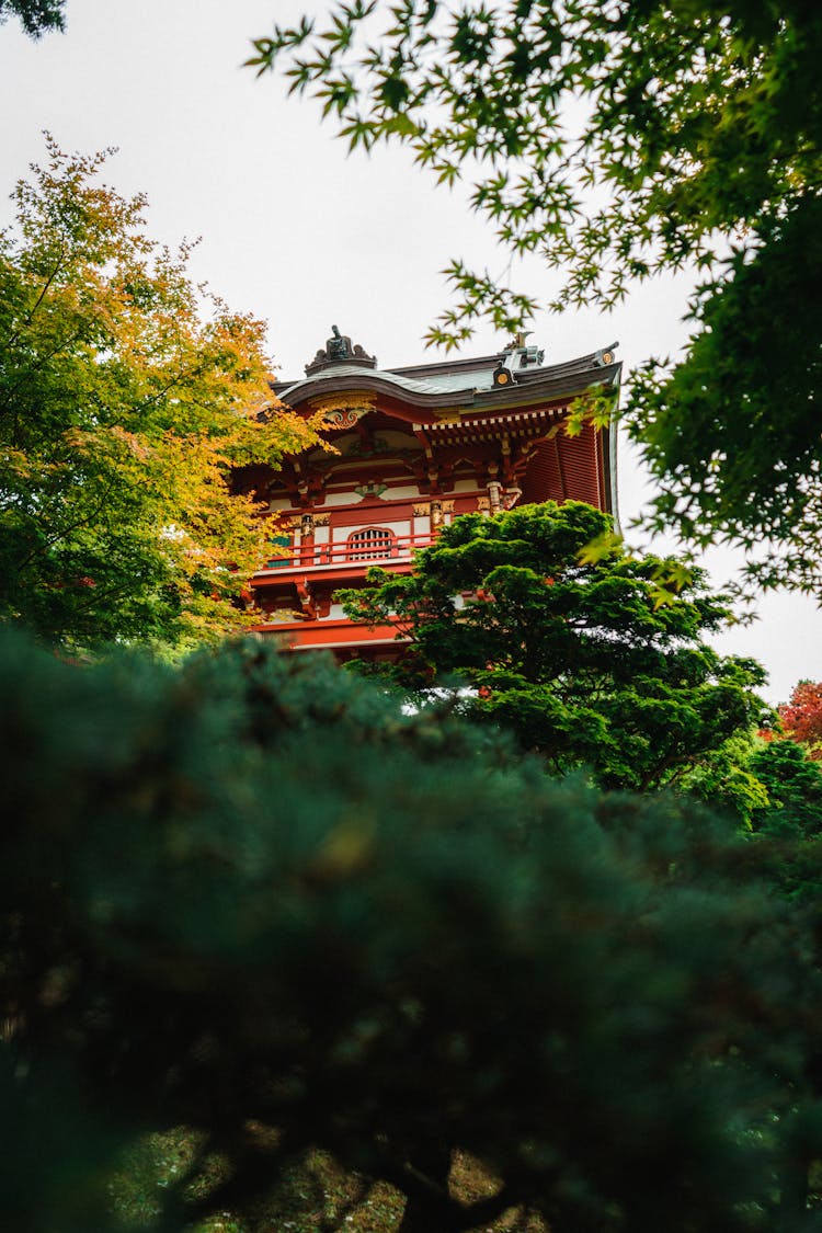 Building Among Greenery In Japanese Tea Garden, San Francisco, California 