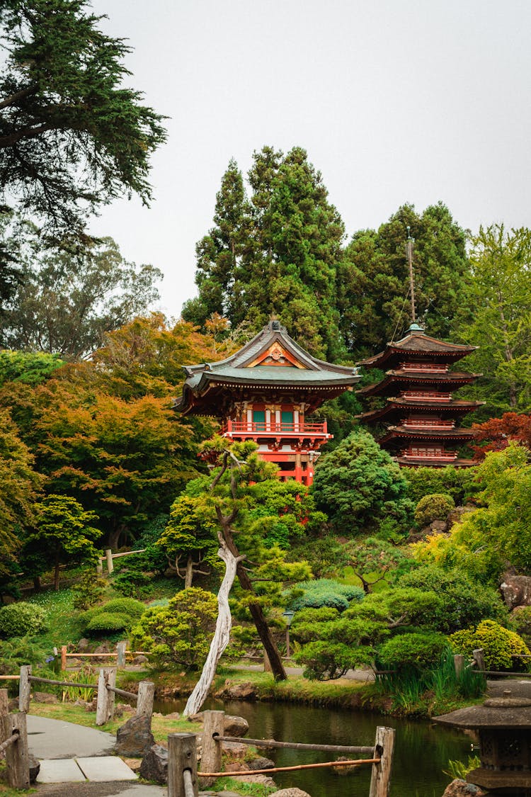 Pagoda And Pond In Japanese Garden