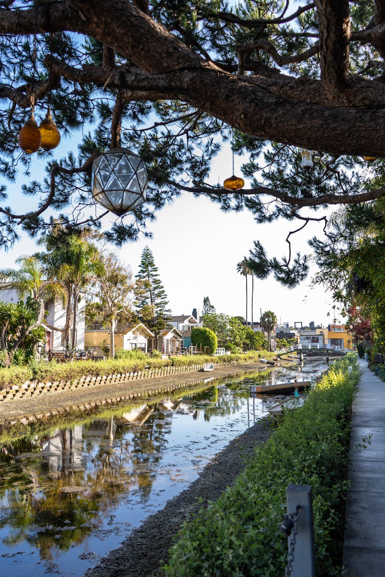 Glass Ornaments Hanging From A Tree Near The Canal 