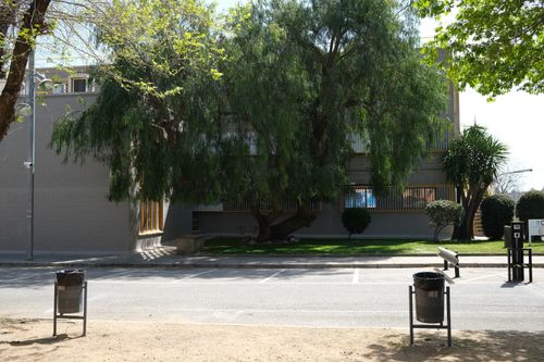 Free A peaceful urban street scene featuring a shaded building, trees, and clean surroundings, with no visible people. Stock Photo