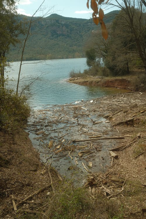 Fotos de stock gratuitas de arboles, cordillera, cuerpo de agua