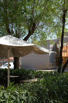 Outdoor patio with table and large umbrella surrounded by lush green shrubs and trees.