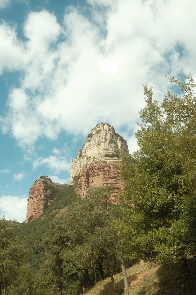 Landscape Of Castle Ruins