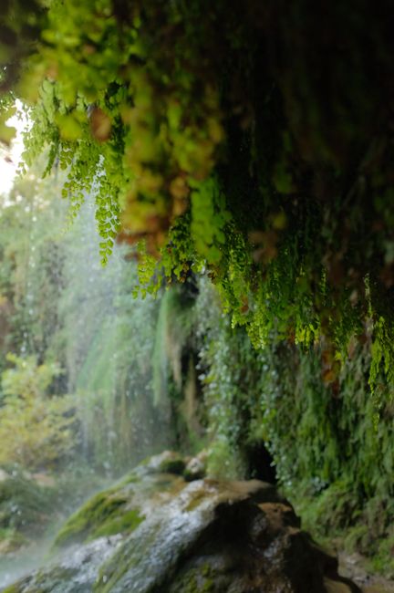 A serene waterfall surrounded by lush greenery and moss-covered rocks in a natural setting.