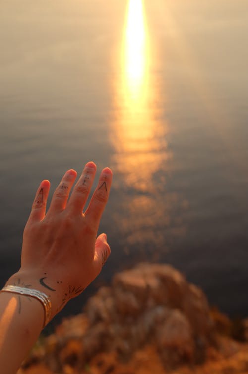 Close Up Photo of a Hand Reaching 