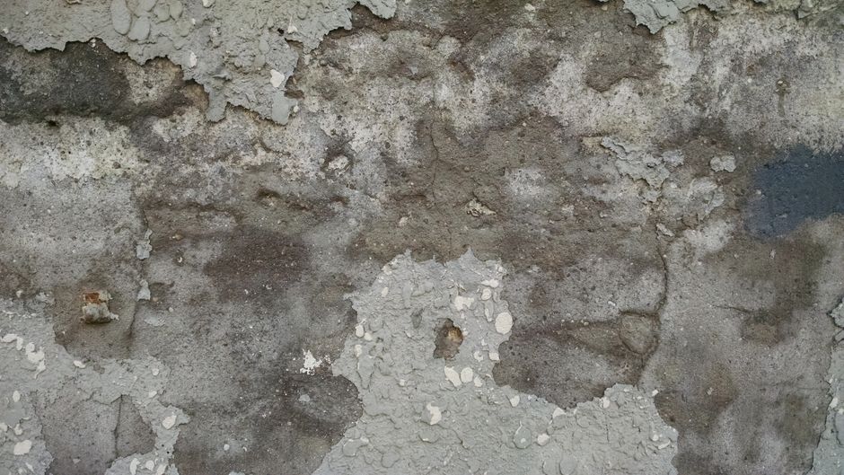 Aged concrete wall with peeling paint, water damage staining and spalling — classic signs of waterproofing failure.