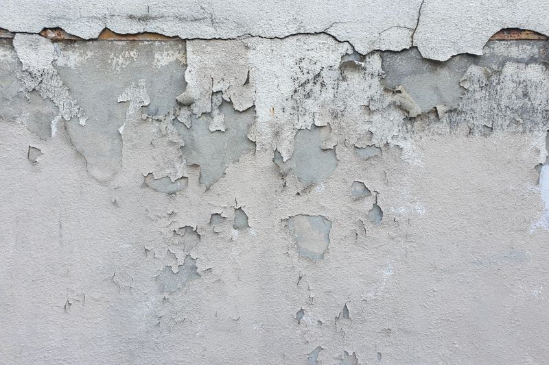 Close-up of a cracked and peeling concrete wall with diverse textures and patterns.