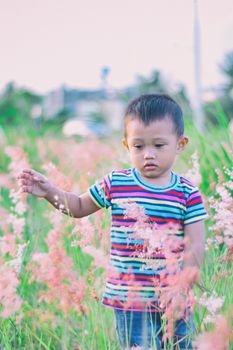 一个年幼的孩子在阳光明媚的日子里，探索着一片开满粉红色花朵的田野