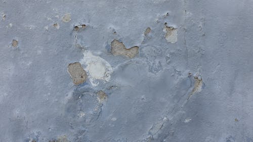  Damaged Gray Concrete Wall
