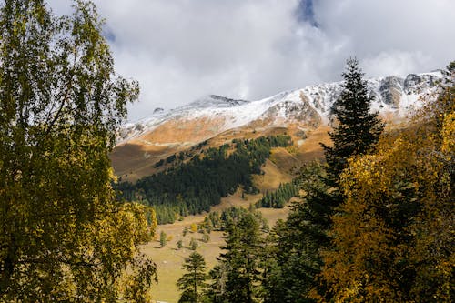 Gratis lagerfoto af bjerg, efterår, landskab