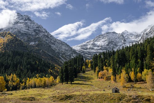 Kostenloses Stock Foto zu abenteuer, bäume, berg