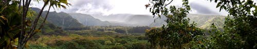 bezplatná Základová fotografie zdarma na téma dešťový prales, havaj, hora Základová fotografie