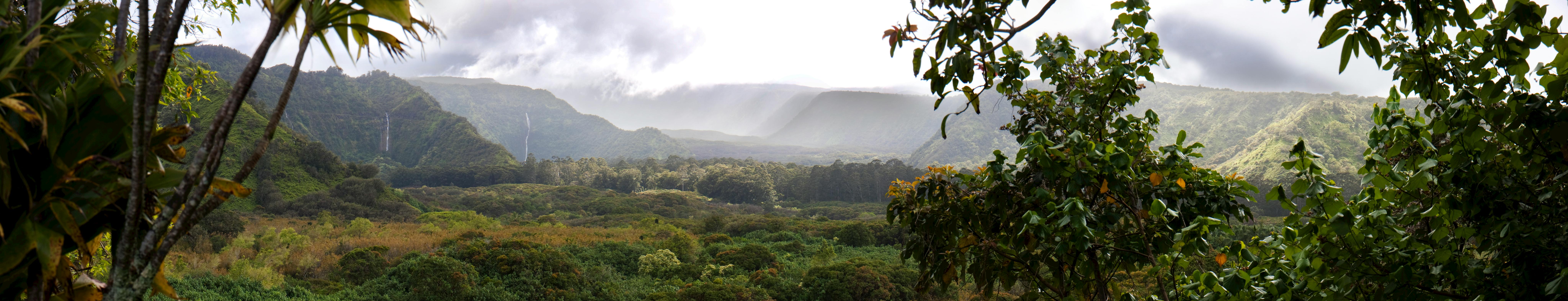 Hawaii Photos, Download The BEST Free Hawaii Stock Photos & HD Images