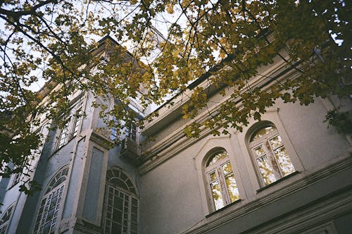 A Low Angle Shot of a Building with Glass Windows