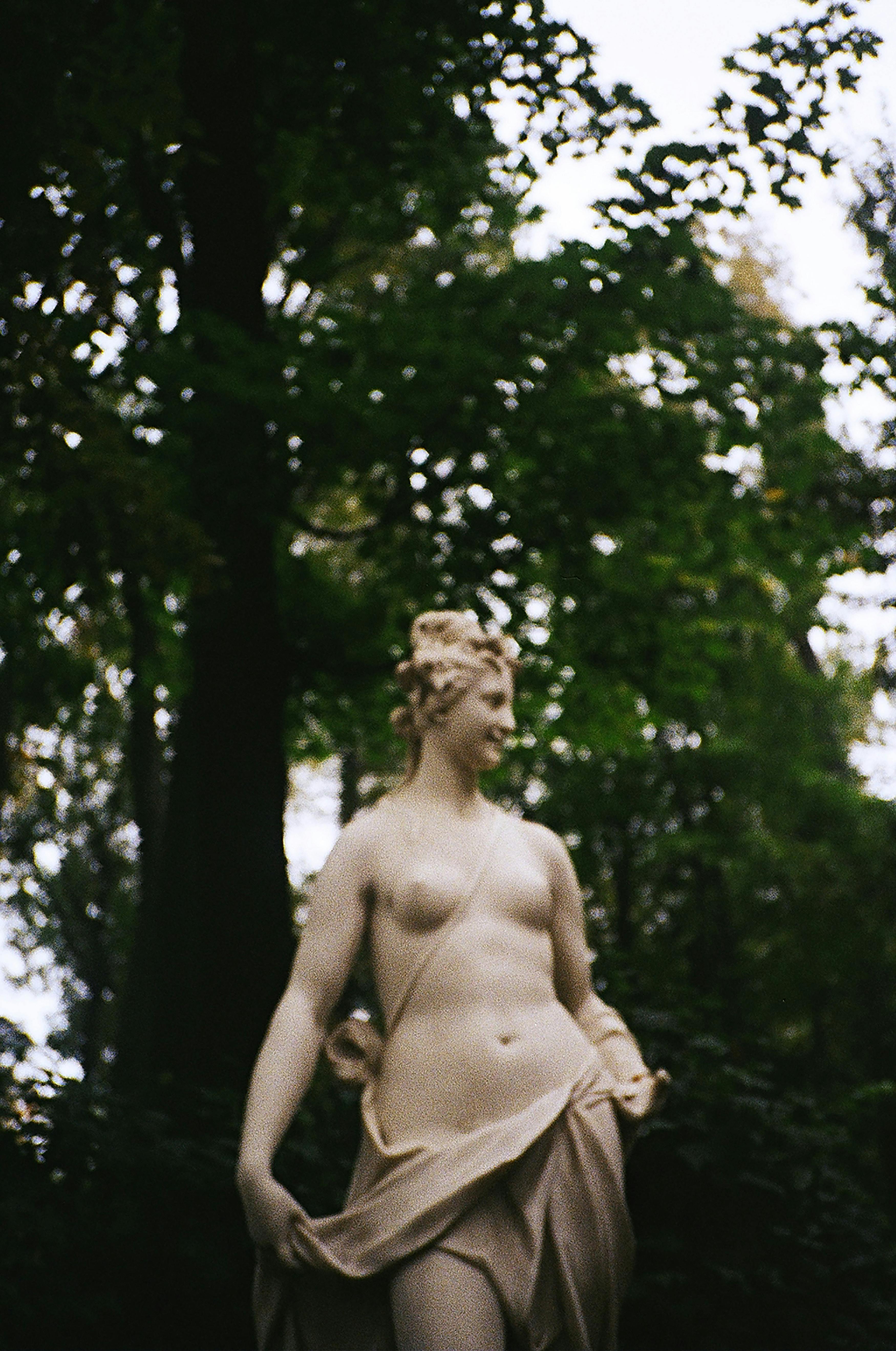 A classical sculpture of a woman in a serene summer garden setting.